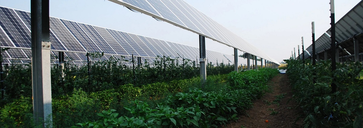 agrivoltaics Solar Photovoltaic Systems - Energy Safety